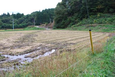 Water drainage is an important problem